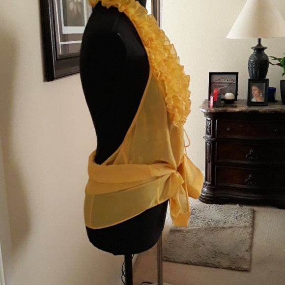 Sheer Ruffled Summer Top - Picture 7 of 7